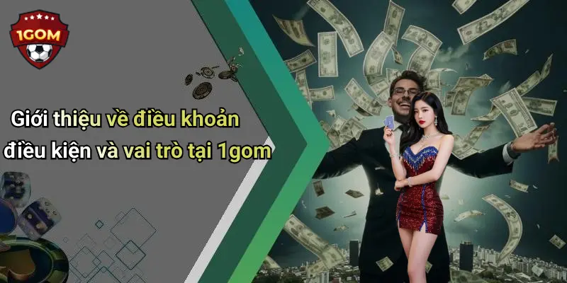 Giới thiệu về điều khoản điều kiện và vai trò tại 1gom