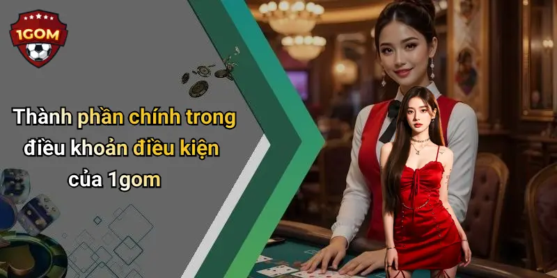 Thành phần chính trong điều khoản điều kiện của 1gom